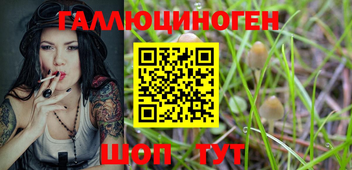 Галлюциногенные грибы мицелий Рыбинск